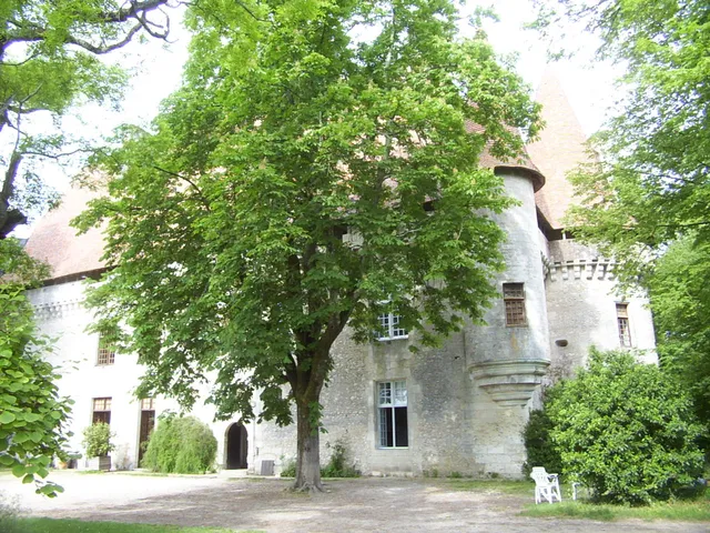 Château de Puyferrat