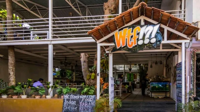 WTF My House - Hotel near Baga Beach Goa