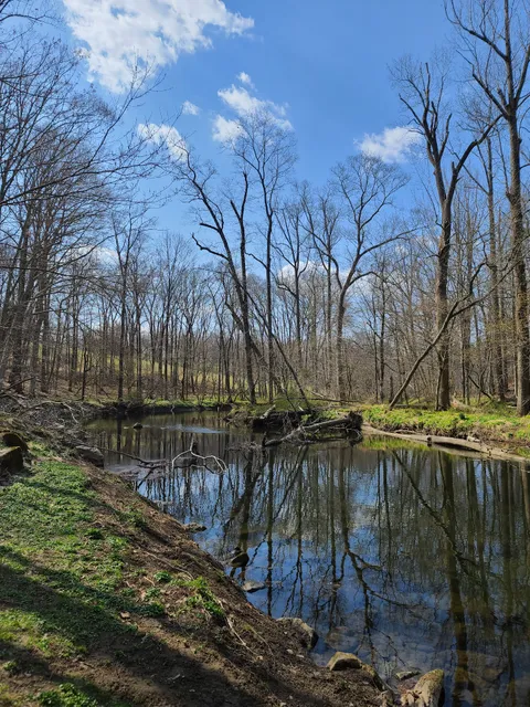Marshall Bridge Preserve
