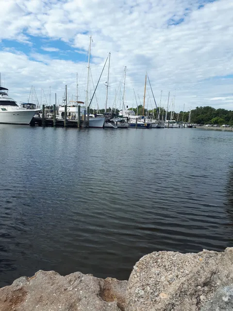 Brevard County Marina Dog Park
