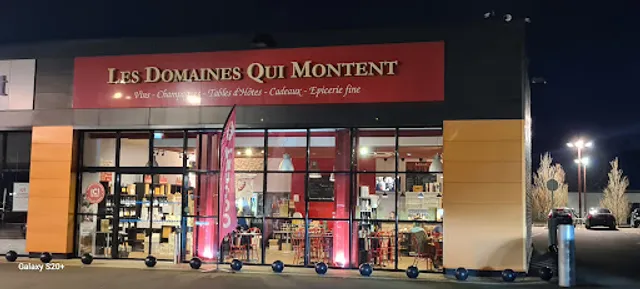 Les Domaines Qui Montent - Olivet