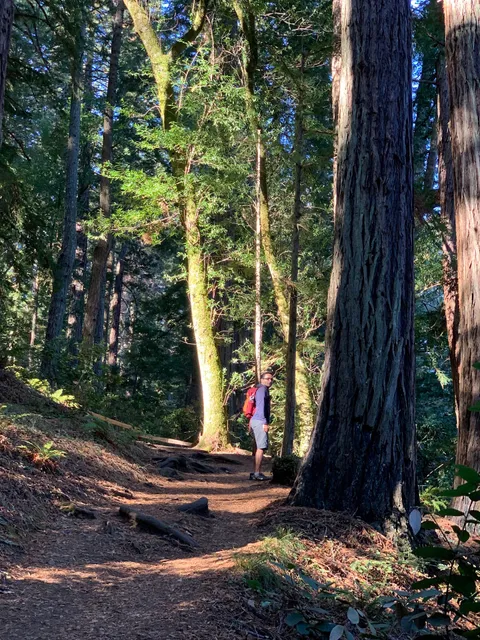 Muir Woods Overflow Parking Lot