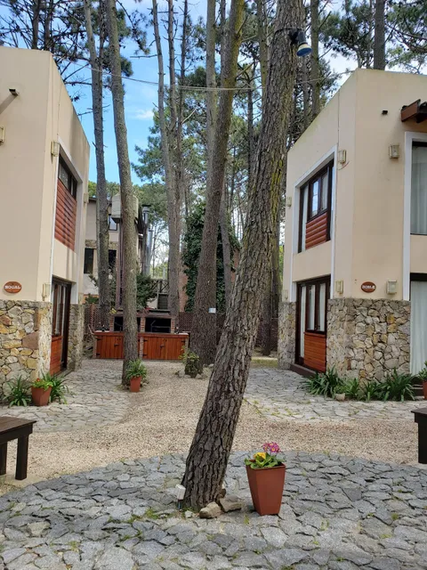 Cabaña Paseo de las luces