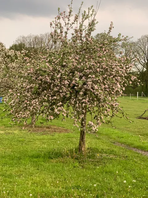 Ferienwohnung Schmugglerpatt