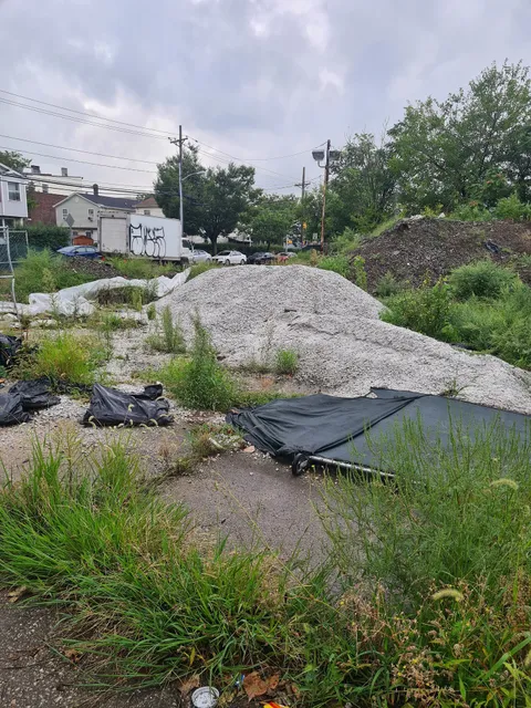 Dr. Lena Edwards Park