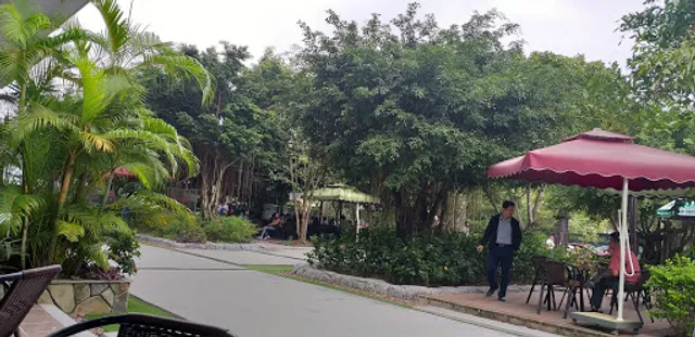 Cafe Sách Nghệ An