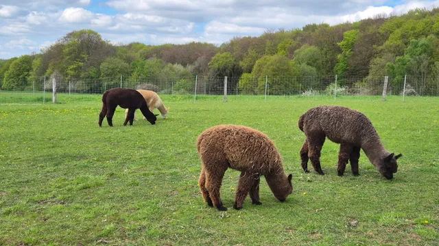 Gästesuite am Lindenhof
