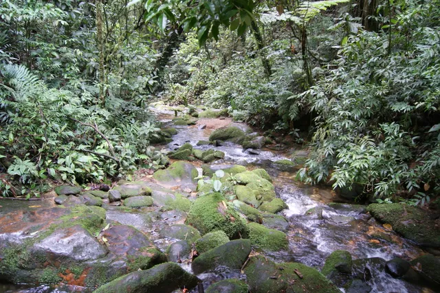 Nascentes de Paranapiacaba
