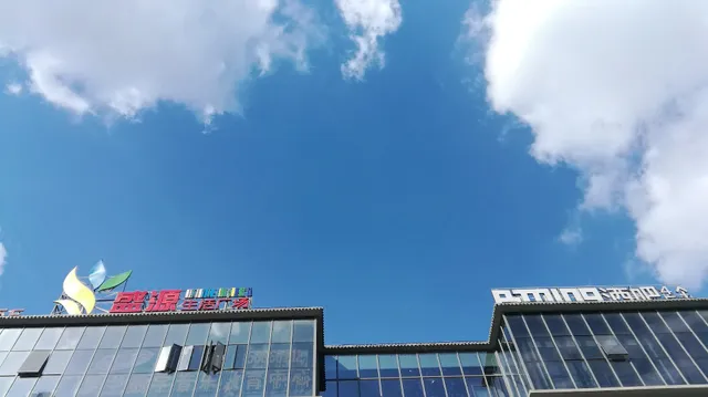 Wufangzhai Glutinous Rice Dumpling