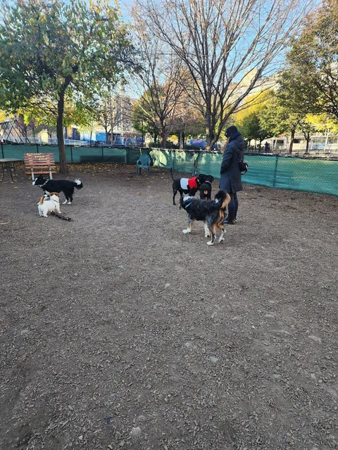 Murray Playground Dog Run