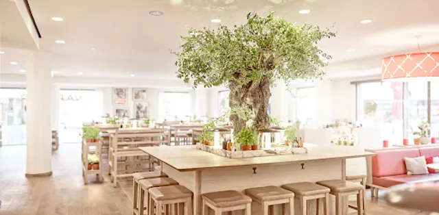 VAPIANO Innsbruck Leopoldstrasse