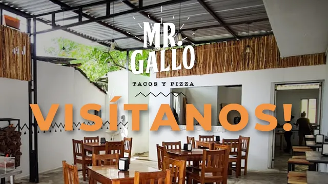 Mr. Gallo Tacos & Pizza