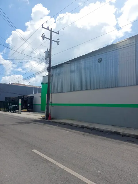 Empanadas doña mago