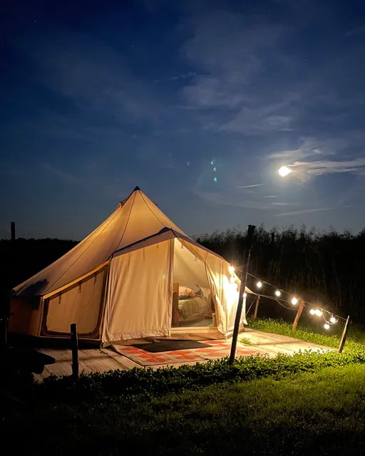 Koperwiek | Voedselbos Camping Kenniscentrum