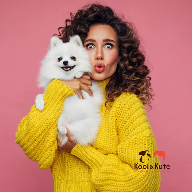 Kool & Kute Pet Boutique