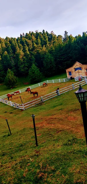 NARBAVI'S JAS AATHEESH Farm stay