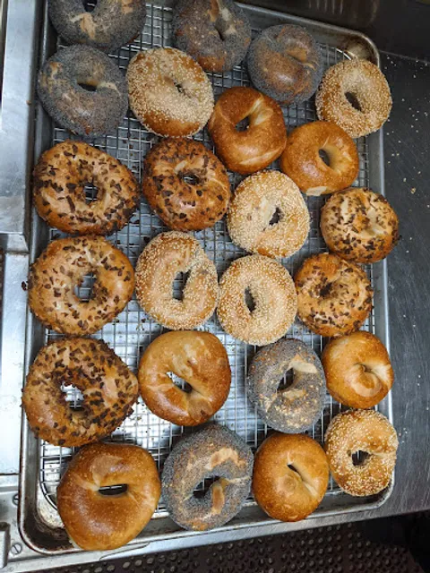 Bageltopia