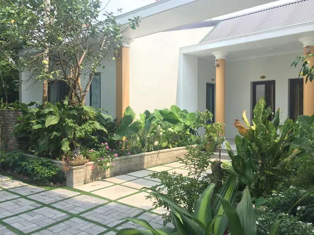 Tam Cốc Minh Gia Homestay