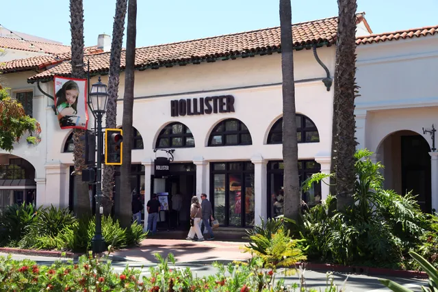 Hollister Co.