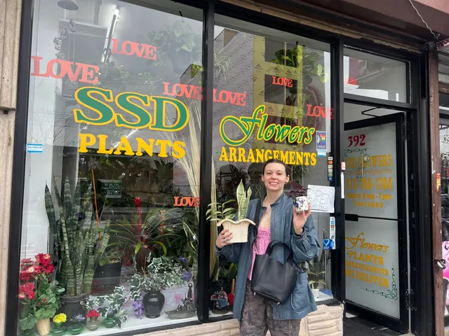 Miss Dee's Plant Shop