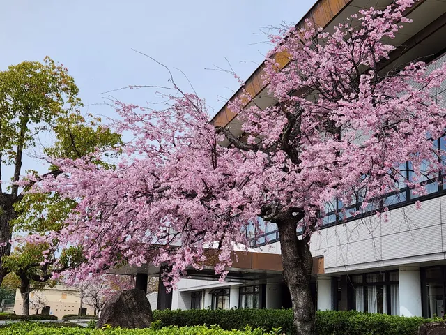 Yawata City Sports Park