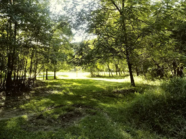 Leakin Park at Winans Meadow