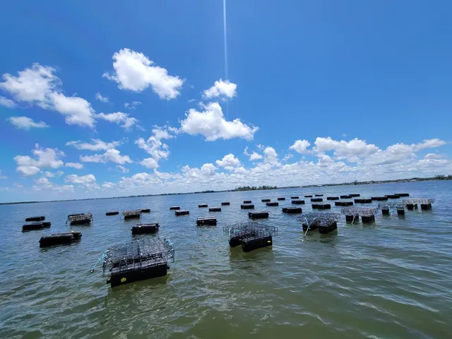 Treasure Coast Shellfish, LLC