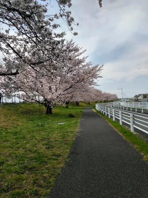 Nishimizumoto Waterside Park
