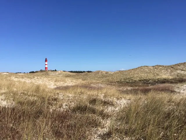 Ferienwohnung Haus Fiete auf Amrum