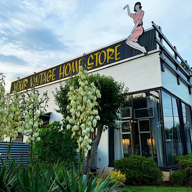 Kudzu Antiques + Modern