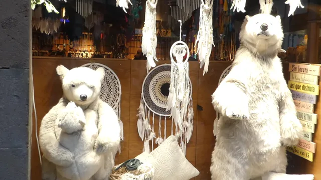 Reserva Natural Ibiza Barcelona