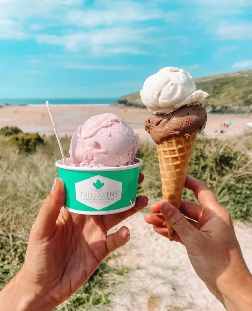 Treleavens Luxury Cornish Ice Cream