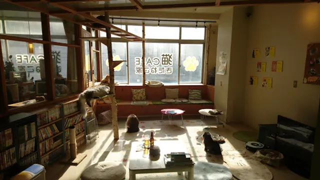 Cat Cafe Kitanekoya