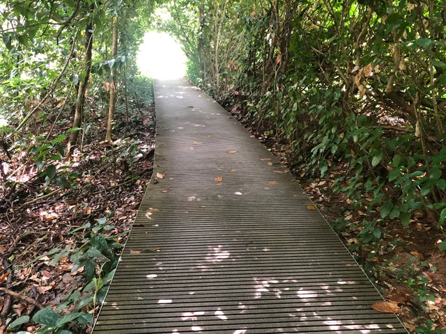 PCN - Lornie Nature Corridor