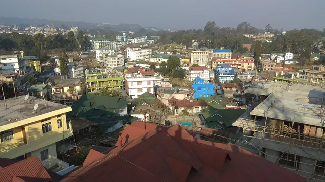 OYO 4740 White Orchid