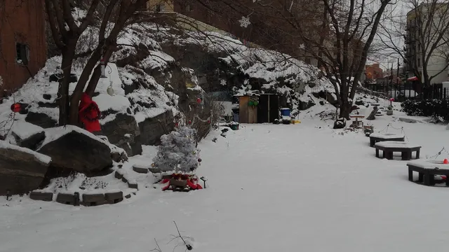 Mosaic Success Garden