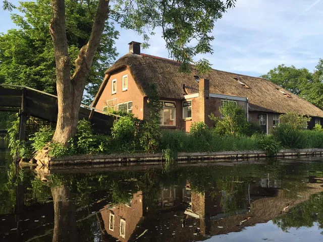 The Black Sheep Hostel