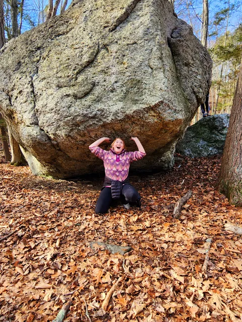 Webb Mountain Campsites 2-7