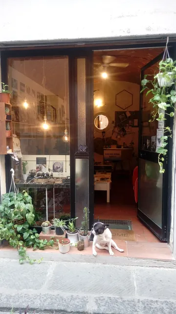 Ginevra Gemmi Jewellery