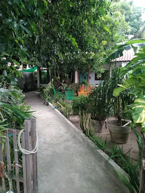 Shake do Ed - EVS Ed Junior - Espaço Vida Saudável - Herbalife