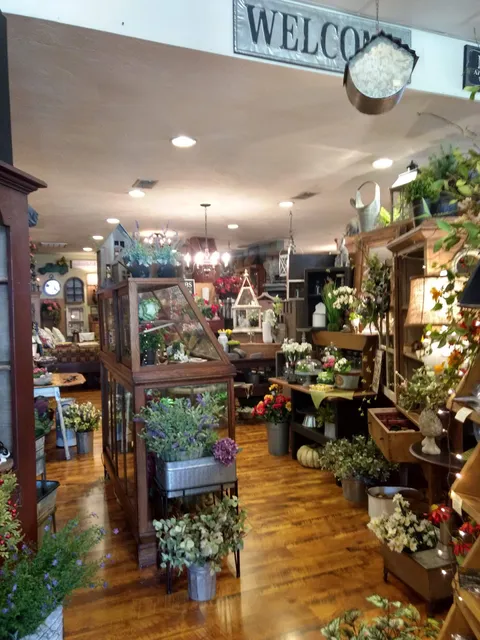 Main Street Primitives