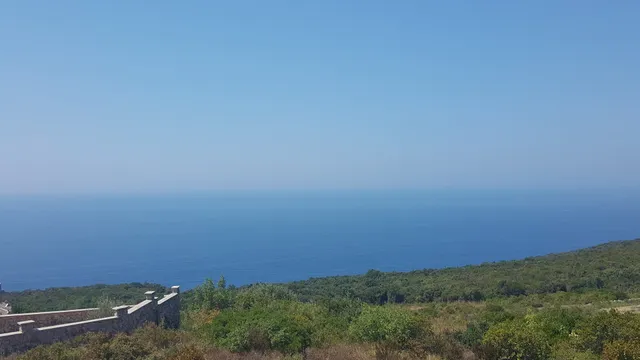 Apartment Vila Mirela