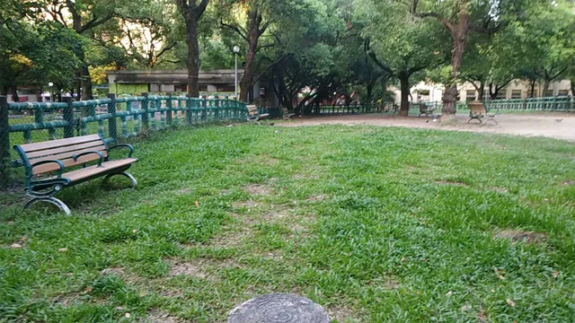 四號公園(八二三紀念公園)遛狗專區