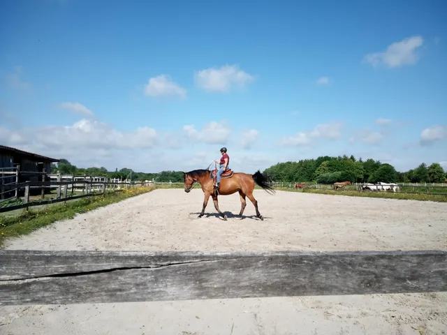 Voßhörnerhof - Ferien- und Reiterparadies