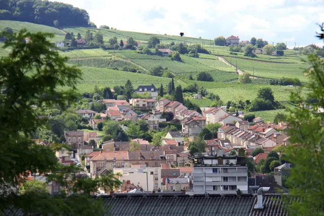 Gîte "La Villa Geiss"