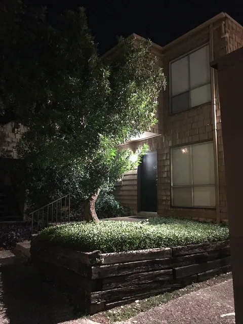 Treehouse Apartments