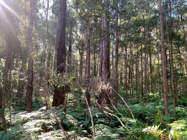 Dalrymple-Hay Nature Reserve
