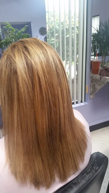 Sheer Elegance Hair Salon