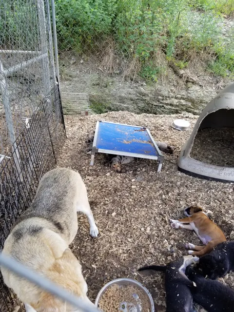 Pickens County Animal Shelter