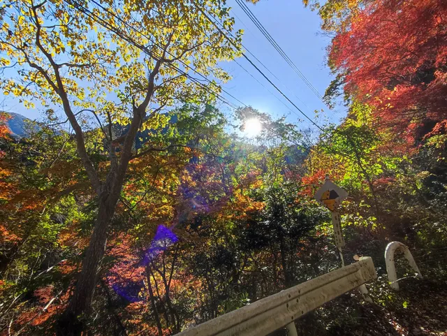 Okutama Mukashi Michi Walking Trail